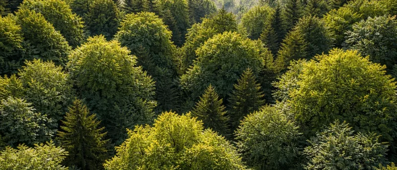 CO₂ калькулятор